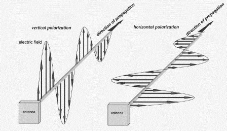 vertical and horizontal polarization